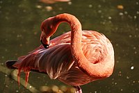 DSC01250.jpg
