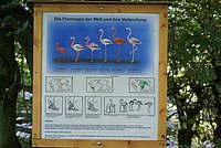 DSC01253.JPG