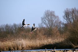 DSC05211.jpg
