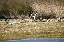 DSC05213.jpg