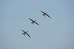 DSC05244.jpg