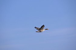DSC05279.jpg