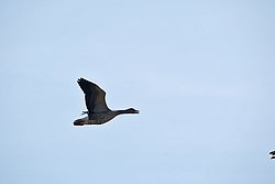 DSC06831.jpg