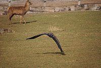 DSC04771.jpg