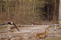 DSC04774.jpg