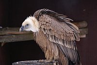 DSC06140.JPG
