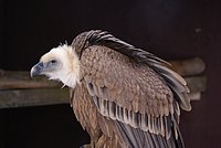 DSC06141.JPG