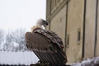 DSC06310.JPG