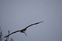 DSC06318.jpg
