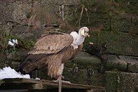DSC06323.JPG