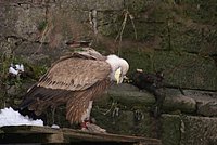 DSC06324.JPG