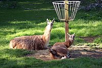 DSC01286.jpg