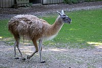 DSC01295.jpg