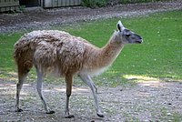 DSC01296.jpg