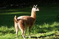 DSC01300.jpg
