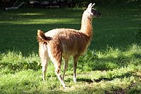 DSC01301.jpg