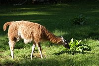 DSC01308.jpg
