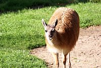 DSC01319.jpg