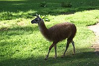 DSC01323.jpg
