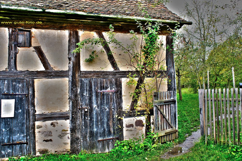 Garten.jpg