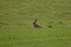 DSC07054.JPG