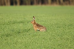 DSC07114.JPG
