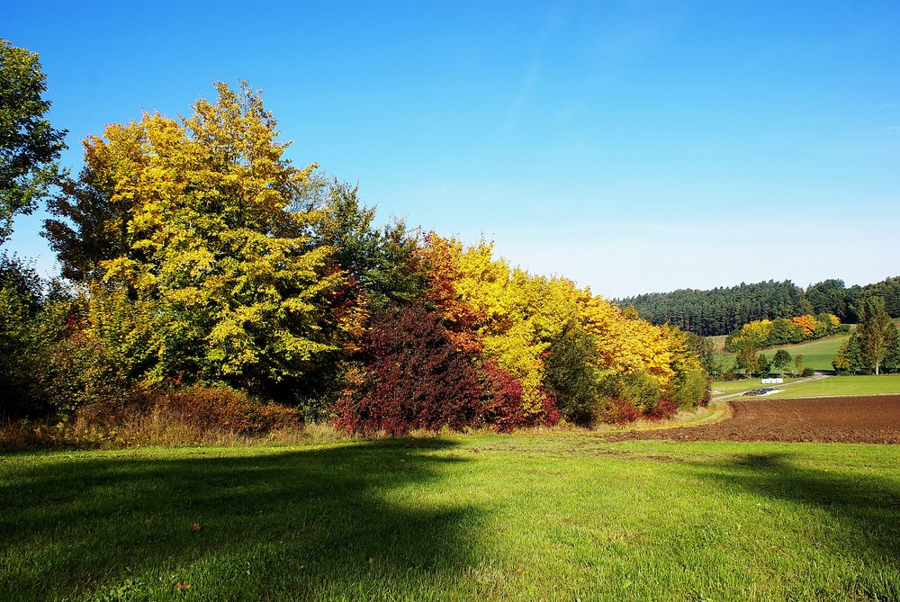Herbst-001.JPG