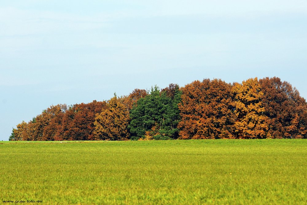 Herbst-002.jpg
