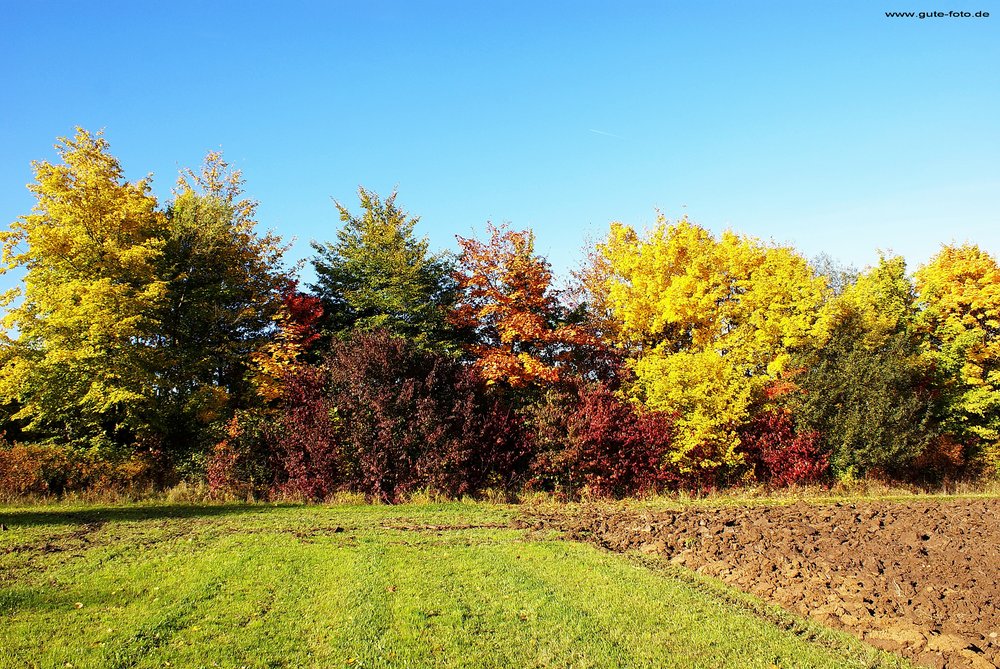 Herbst-005.jpg