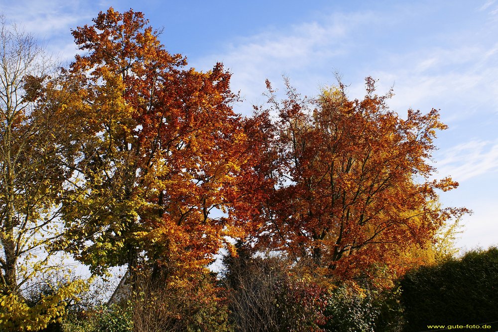 Herbst-014.jpg