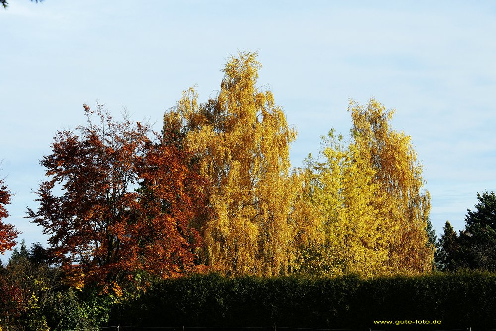 Herbst-015.jpg