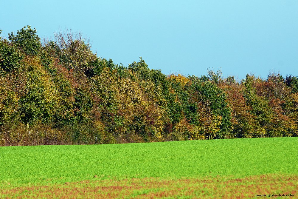 Herbst-018.jpg