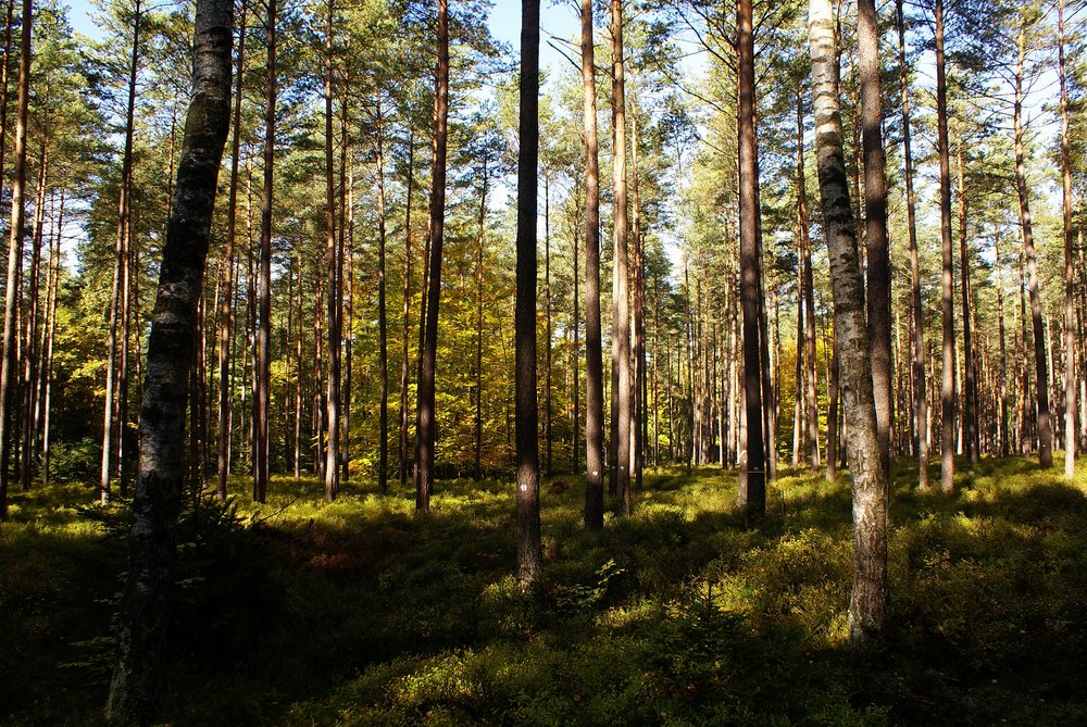 Herbst-020.JPG