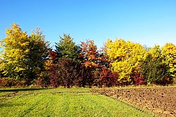 Herbst-005.JPG