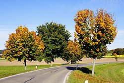 Herbst-007.JPG