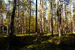 Herbst-020.JPG