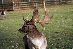DSC02202a.jpg