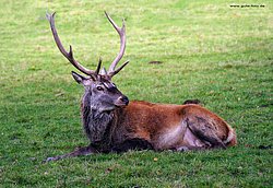 DSC02227-b.jpg
