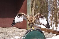 DSC06012.jpg