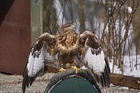 DSC06029.JPG