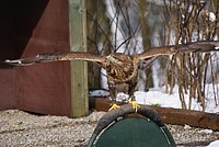 DSC06036.JPG