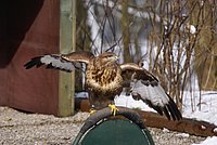 DSC06048.JPG