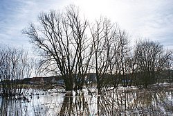 H-024.jpg