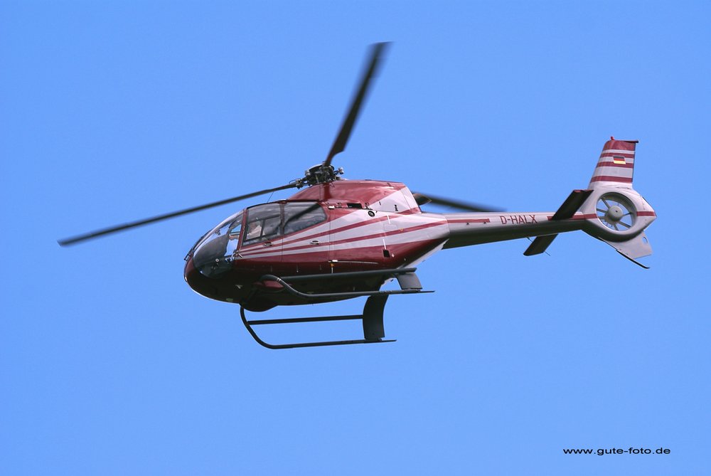 Eurocopter EC-120 Colibri -  D-HALX.jpg