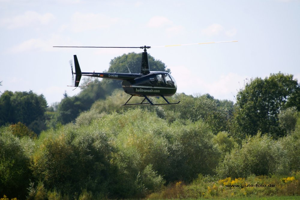 Robinson R44 - D-HOMI.jpg
