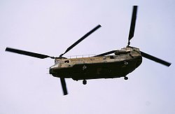 Chinook CH-47D.JPG