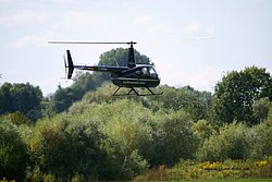 Robinson R44 - D-HOMI.jpg