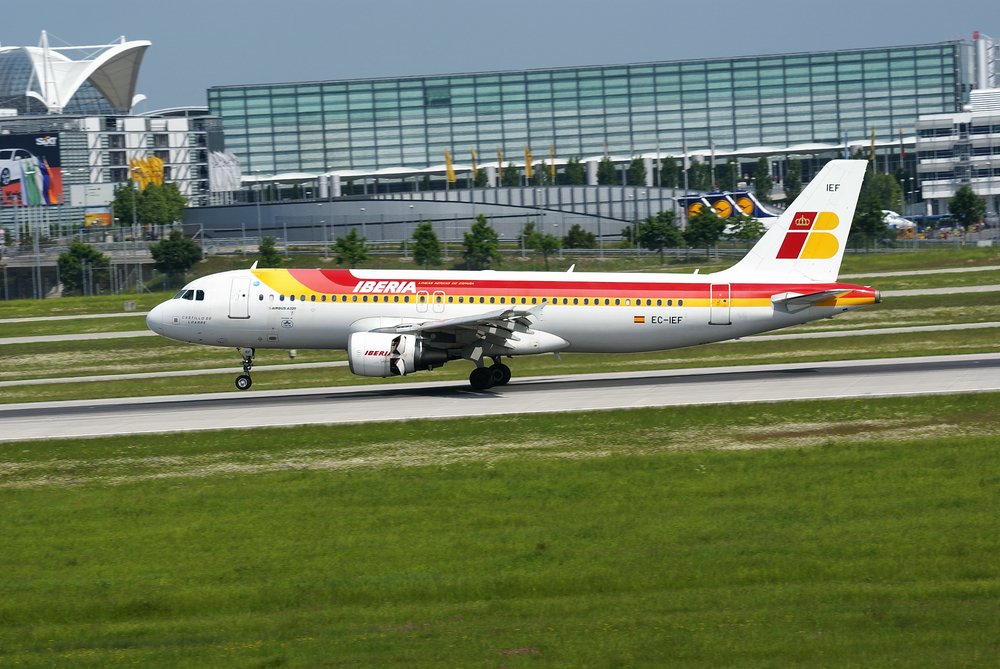 EC-IEF.JPG