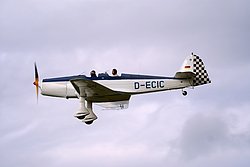 D-ECIC-1.jpg