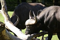 DSC01477.jpg